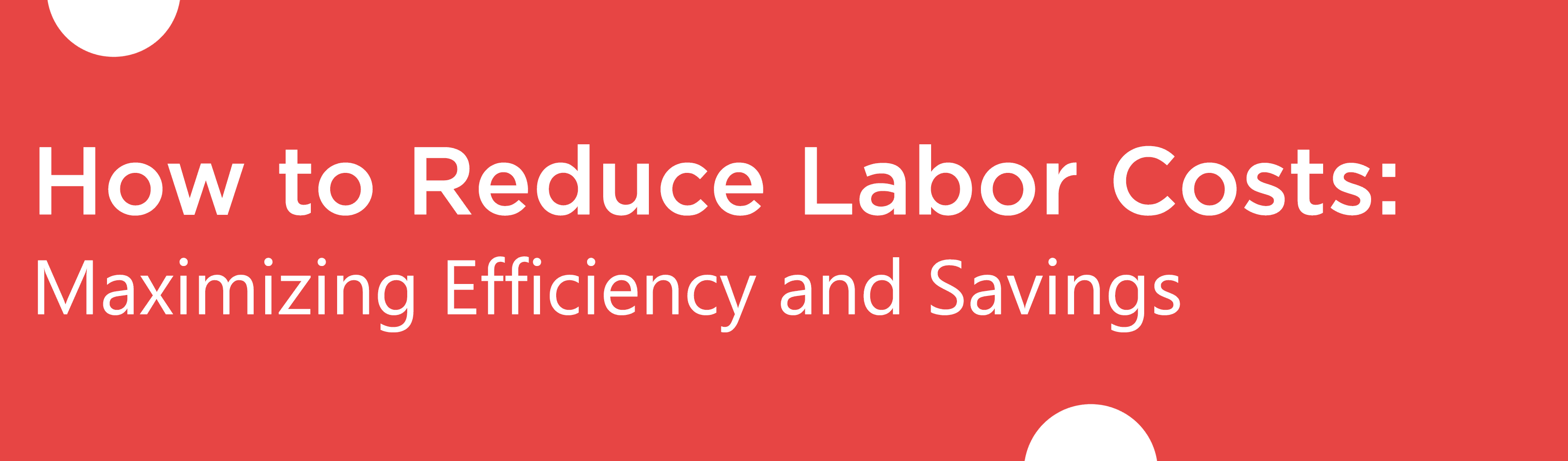BLog banner 2 How to Reduce Labor Costs- Maximizing Efficiency and Savings